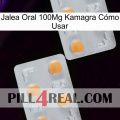 Jalea Oral 100Mg Kamagra Cómo Usar 25